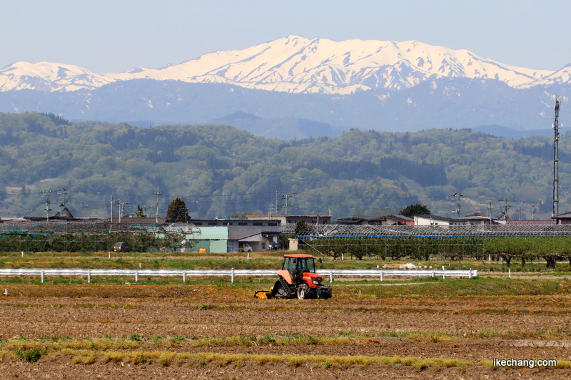 写真：朝日連峰と田起こしするトラクター