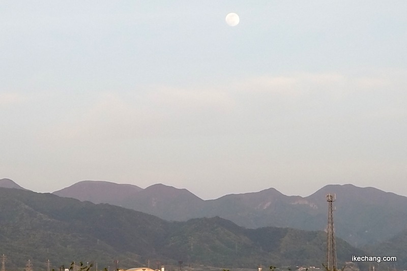 写真：満月まであと少し・月齢14.2の白い月