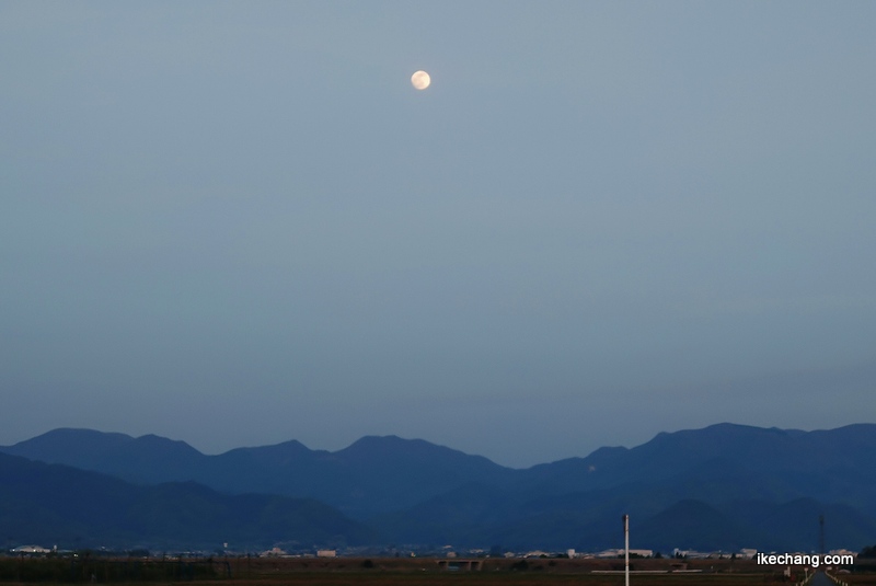 写真：満月まであと少し・月齢14.2の白い月