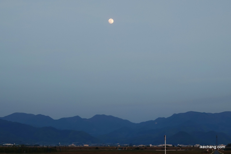 写真：満月まであと少し・月齢14.2の白い月
