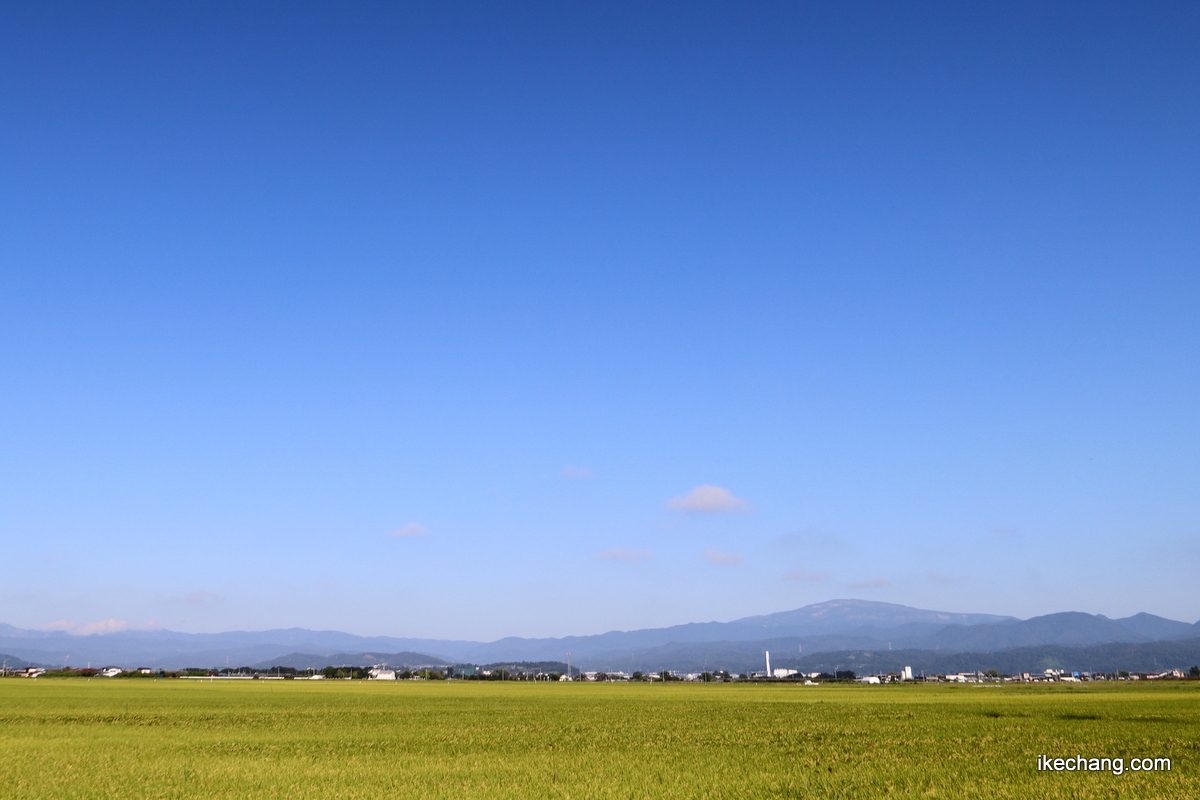 画像：青空と黄金色に色づいて来た田んぼ