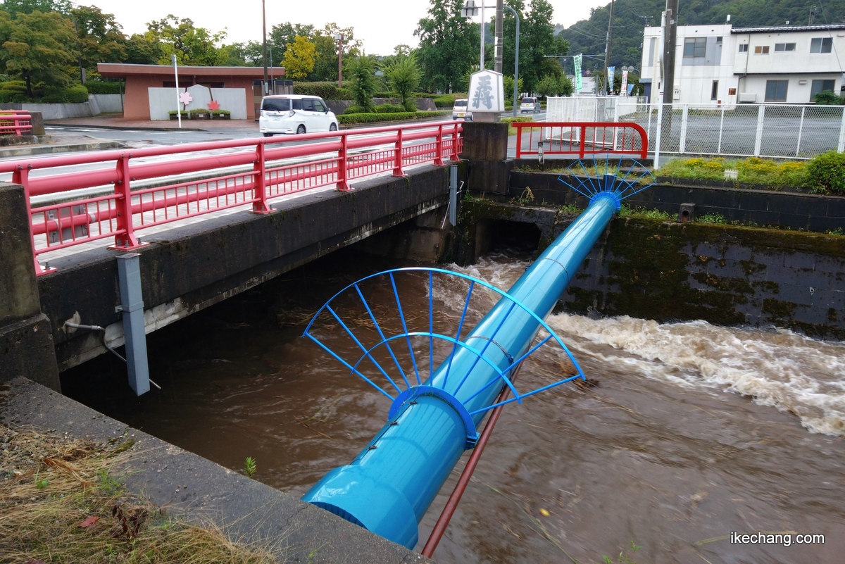 画像：天童市役所前の王将橋から見た濁流の倉津川