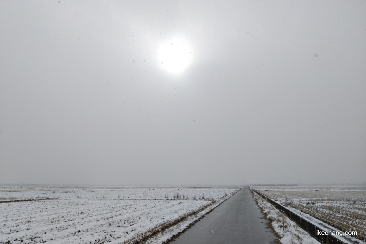 写真:太陽の形が見えるくらい薄い雲