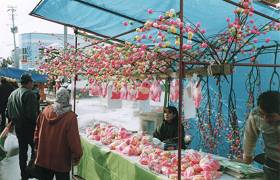 a noted product of the first market, dumpling tree